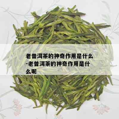 老普洱茶的神奇作用是什么-老普洱茶的神奇作用是什么呢