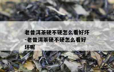 老普洱茶硬不硬怎么看好坏-老普洱茶硬不硬怎么看好坏呢