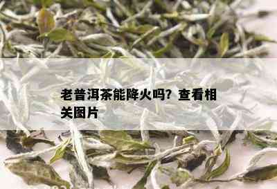 老普洱茶能降火吗？查看相关图片