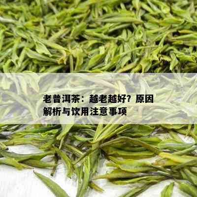 老普洱茶：越老越好？原因解析与饮用注意事项