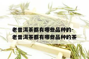 老普洱茶都有哪些品种的-老普洱茶都有哪些品种的茶