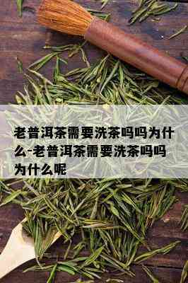 老普洱茶需要洗茶吗吗为什么-老普洱茶需要洗茶吗吗为什么呢