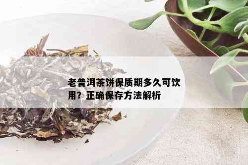 老普洱茶饼保质期多久可饮用？正确保存方法解析