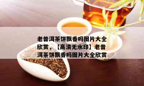 老普洱茶饼飘香吗图片大全欣赏，【高清无水印】老普洱茶饼飘香吗图片大全欣赏