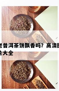 老普洱茶饼飘香吗？高清图片大全