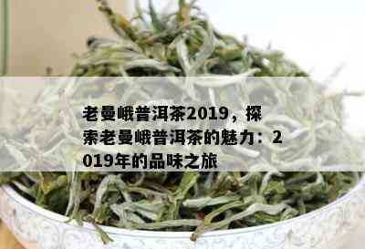 老曼峨普洱茶2019，探索老曼峨普洱茶的魅力：2019年的品味之旅