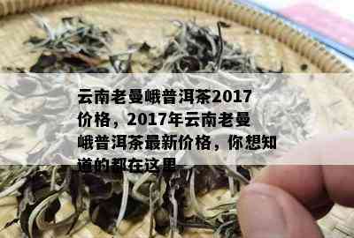 云南老曼峨普洱茶2017价格，2017年云南老曼峨普洱茶最新价格，你想知道的都在这里