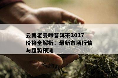 云南老曼峨普洱茶2017价格全解析：最新市场行情与趋势预测