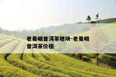 老曼峨普洱茶地块-老曼峨普洱茶价格