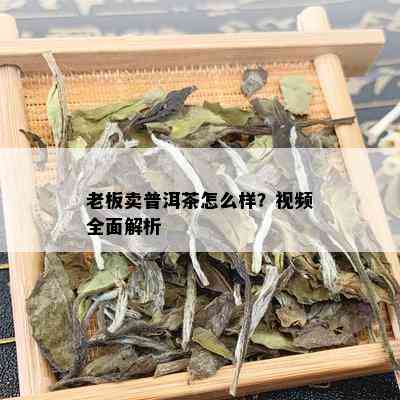 老板卖普洱茶怎么样？视频全面解析