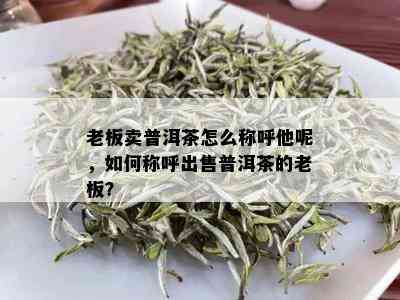 老板卖普洱茶怎么称呼他呢，如何称呼出售普洱茶的老板？