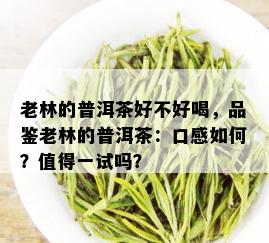 老林的普洱茶好不好喝，品鉴老林的普洱茶：口感如何？值得一试吗？