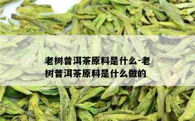 老树普洱茶原料是什么-老树普洱茶原料是什么做的