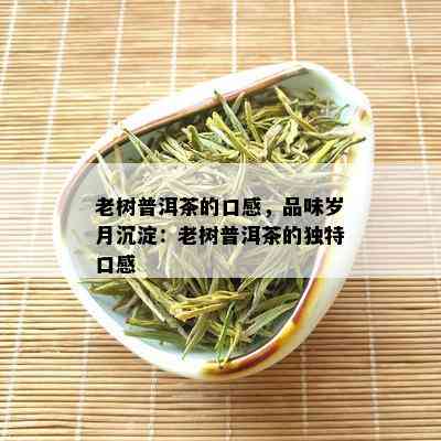 老树普洱茶的口感，品味岁月沉淀：老树普洱茶的独特口感