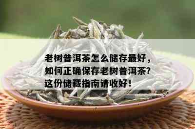 老树普洱茶怎么储存更好，如何正确保存老树普洱茶？这份储藏指南请收好！