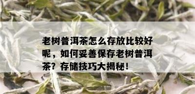 老树普洱茶怎么存放比较好呢，如何妥善保存老树普洱茶？存储技巧大揭秘！