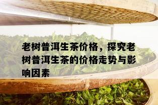 老树普洱生茶价格，探究老树普洱生茶的价格走势与影响因素