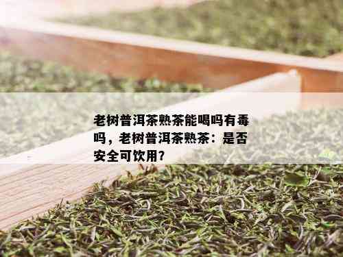 老树普洱茶熟茶能喝吗有吗，老树普洱茶熟茶：是否安全可饮用？