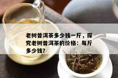 老树普洱茶多少钱一斤，探究老树普洱茶的价格：每斤多少钱？