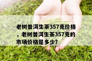 老树普洱生茶357克价格，老树普洱生茶357克的市场价格是多少？