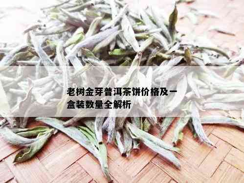 老树金芽普洱茶饼价格及一盒装数量全解析