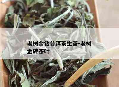 老树金钻普洱茶生茶-老树金砖茶叶