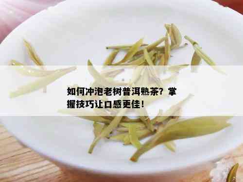 如何冲泡老树普洱熟茶？掌握技巧让口感更佳！