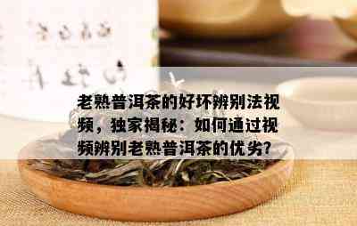 老熟普洱茶的好坏辨别法视频，独家揭秘：如何通过视频辨别老熟普洱茶的优劣？