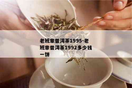 老班章普洱茶1995-老班章普洱茶1992多少钱一饼