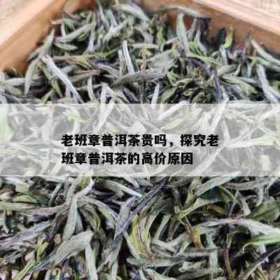 老班章普洱茶贵吗，探究老班章普洱茶的高价原因