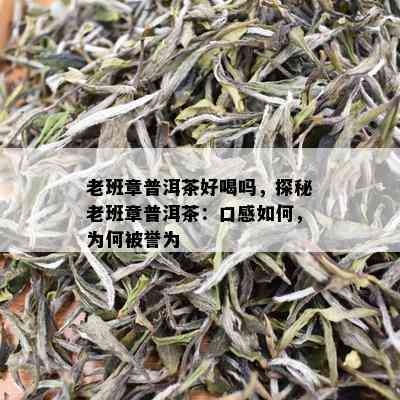 老班章普洱茶好喝吗，探秘老班章普洱茶：口感如何，为何被誉为