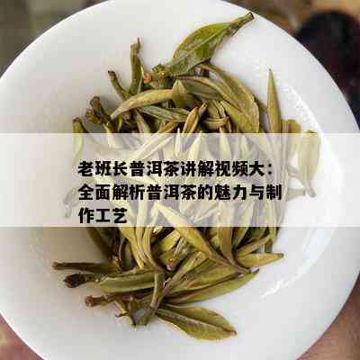 老班长普洱茶讲解视频大：全面解析普洱茶的魅力与制作工艺