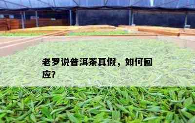 老罗说普洱茶真假，如何回应？