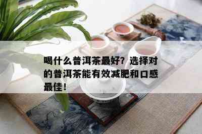 喝什么普洱茶更好？选择对的普洱茶能有效减肥和口感更佳！