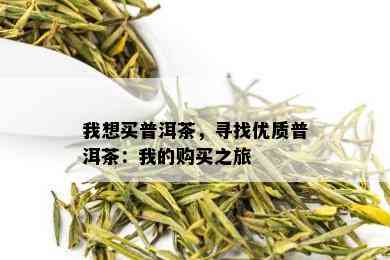 我想买普洱茶，寻找优质普洱茶：我的购买之旅