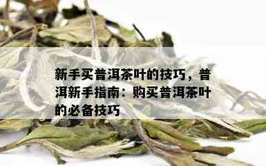 新手买普洱茶叶的技巧，普洱新手指南：购买普洱茶叶的必备技巧