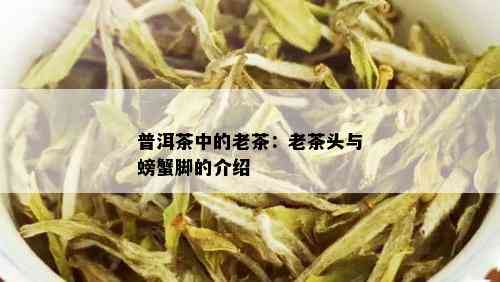 普洱茶中的老茶：老茶头与螃蟹脚的介绍