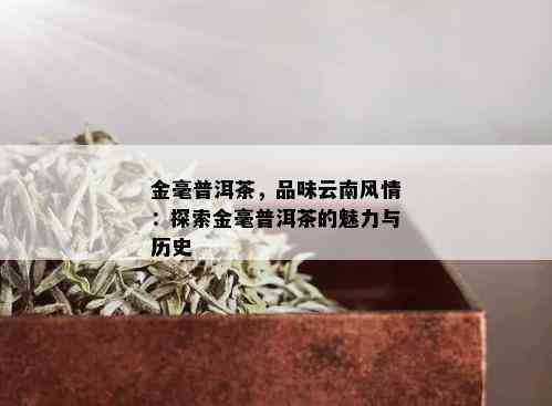 金毫普洱茶，品味云南风情：探索金毫普洱茶的魅力与历史