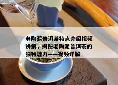 老陶泥普洱茶特点介绍视频讲解，揭秘老陶泥普洱茶的独特魅力——视频详解