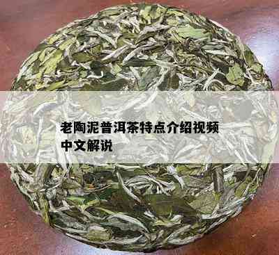 老陶泥普洱茶特点介绍视频中文解说