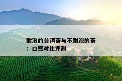 耐泡的普洱茶与不耐泡的茶：口感对比评测