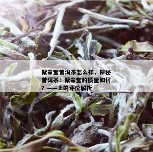 聚豪堂普洱茶怎么样，探秘普洱茶：聚豪堂的质量如何？——上的评价解析