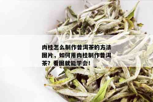 肉桂怎么制作普洱茶的方法图片，如何用肉桂制作普洱茶？看图就能学会！