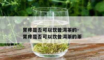 胃疼是否可以饮普洱茶的-胃疼是否可以饮普洱茶的茶