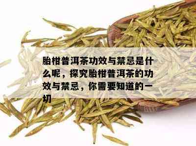 胎柑普洱茶功效与禁忌是什么呢，探究胎柑普洱茶的功效与禁忌，你需要知道的一切