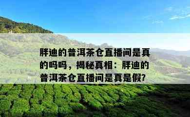 胖迪的普洱茶仓直播间是真的吗吗，揭秘真相：胖迪的普洱茶仓直播间是真是假？