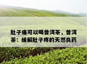 肚子痛可以喝普洱茶，普洱茶：缓解肚子疼的天然良药