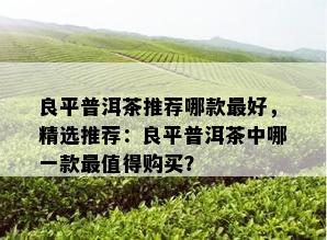 良平普洱茶推荐哪款更好，精选推荐：良平普洱茶中哪一款最值得购买？