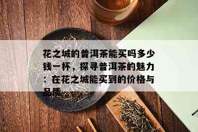 花之城的普洱茶能买吗多少钱一杯，探寻普洱茶的魅力：在花之城能买到的价格与品质