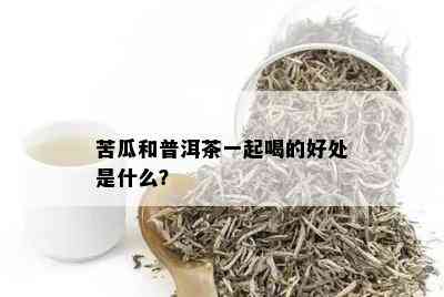 苦瓜和普洱茶一起喝的好处是什么？